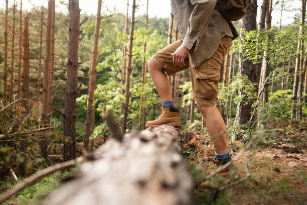 Unrecognizable Caucasian young male hiker crossing tree trunk in the forest.