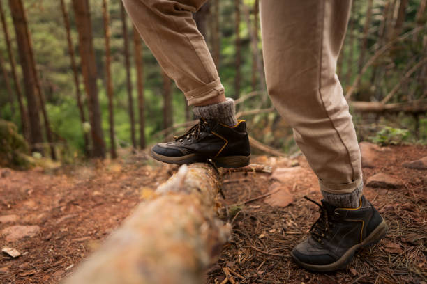 istock Hikers legs crossing tree trunk in the forest 1341938446