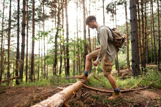 istock Young male hiker crossing tree trunk in the forest 1341938465