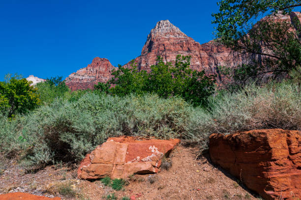 Beautiful Red and orange colors fill Zion National Park at sunset.