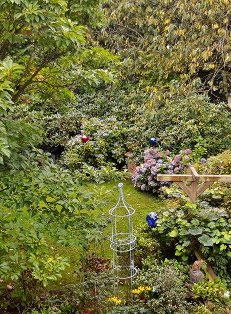 istock Wild garden from above 1341939745