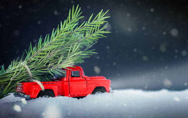 istock red truck carrying spruce branches 1341941006