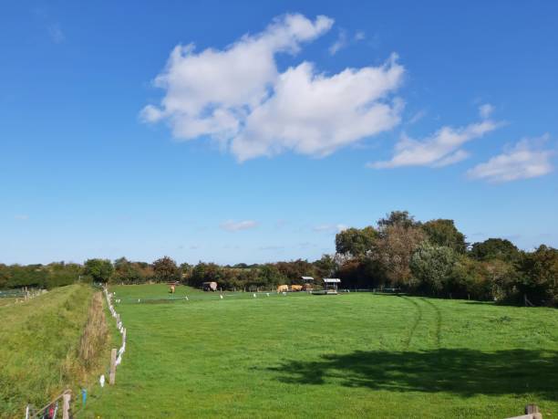 istock Rural landscape on the Schlei 1341941168