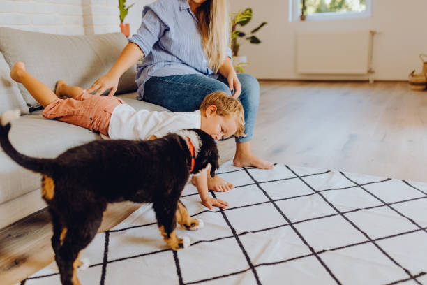 istock Little boys playing with mom and dog 1341942401