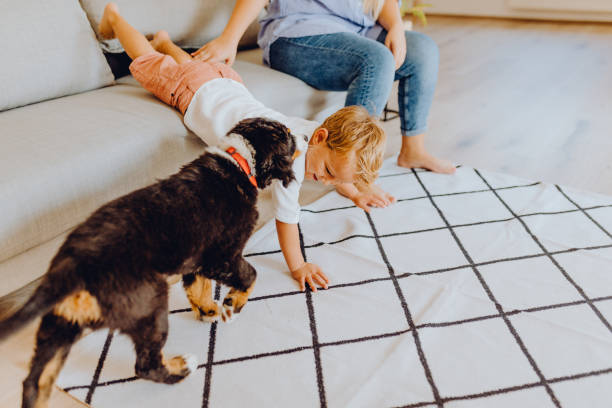 istock Little boys playing with mom and dog 1341942412