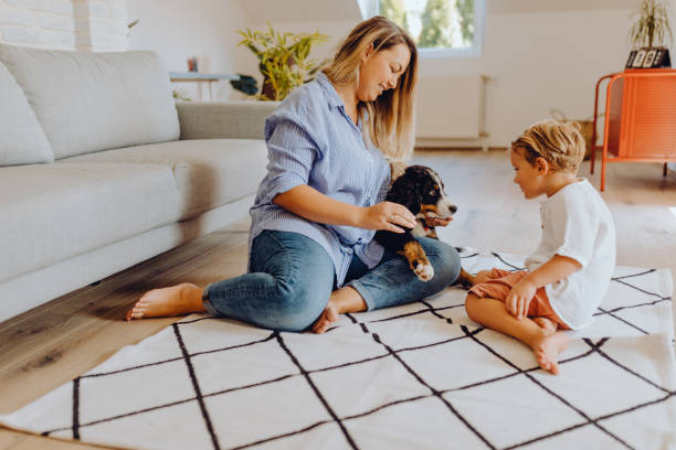istock Little boys playing with mom and dog 1341942462