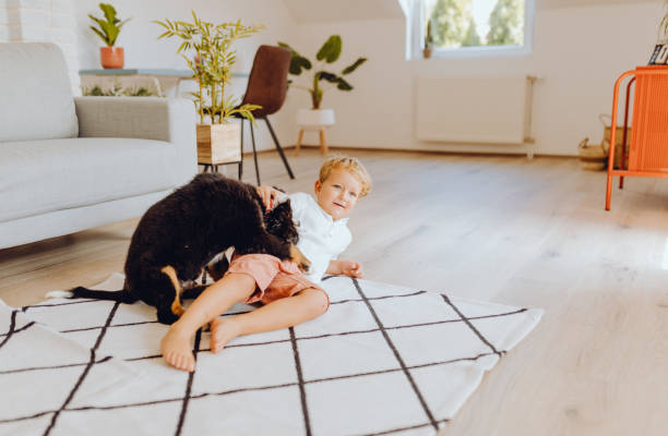 istock Little boys playing with mom and dog 1341942502