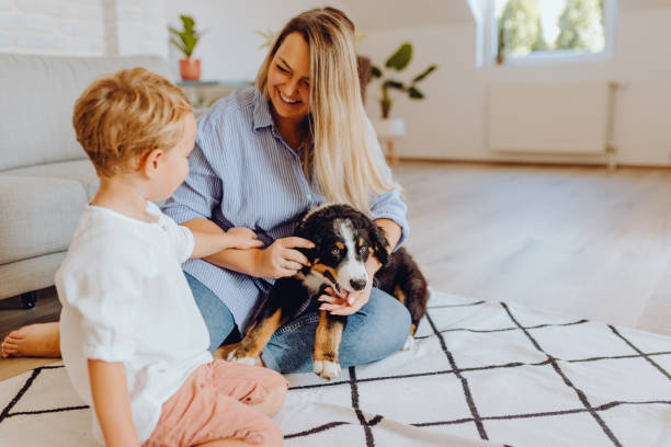 istock Little boys playing with mom and dog 1341942512