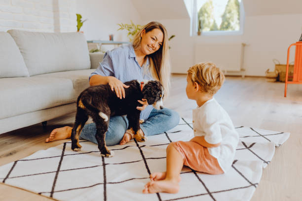 istock Little boys playing with mom and dog 1341942668
