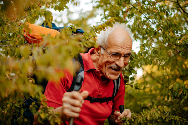 istock Hiking with grandson 1341946803