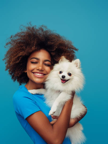 студийный портрет улыбающейся молодой афроамериканской девушки, держащей маленькую собачку - женское животное стоковые фото и изображения