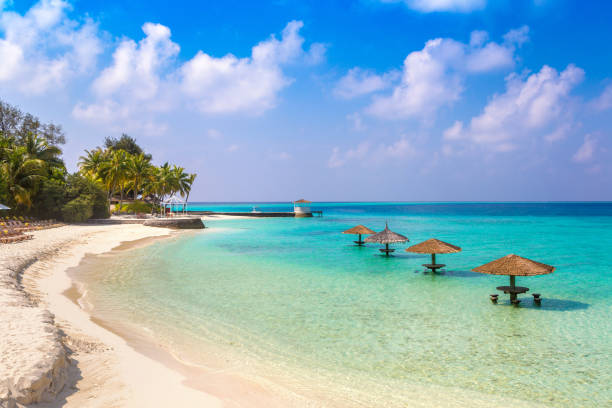 ombrellone su una spiaggia tropicale - tahiti foto e immagini stock