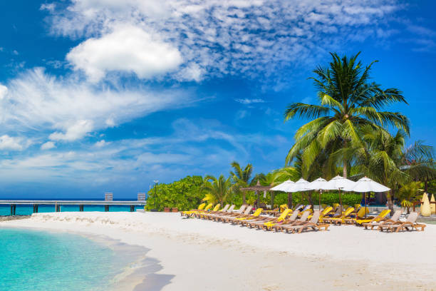 istock Tropical beach in the Maldives 1341947700