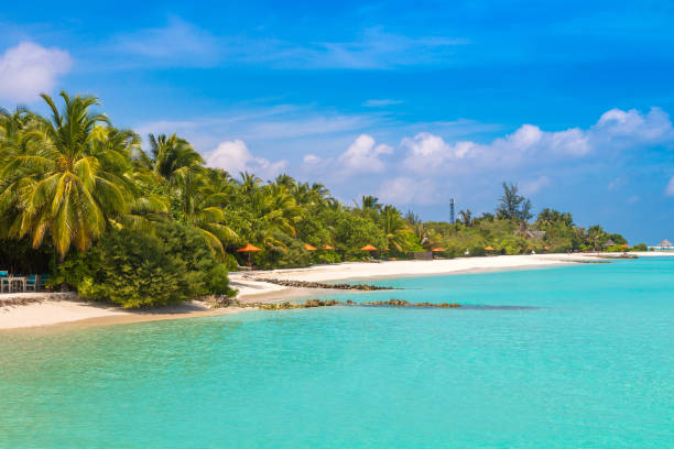 istock Tropical beach in the Maldives 1341953364