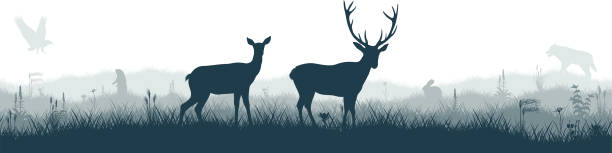 istock Seamless panorama of the prarie with deers, eagle, Prairie dog and gray wolf 1341954138