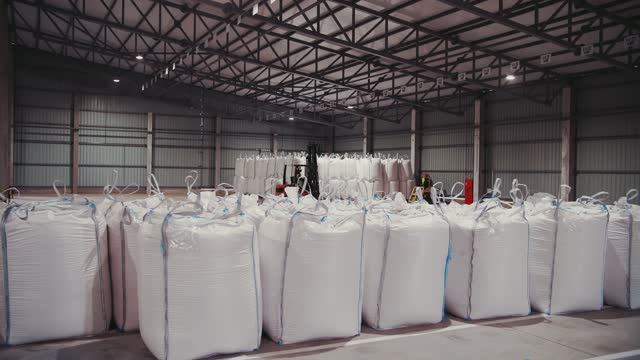 agriculture storage. warehouse. bags of corn seeds, grain. large warehouse of enterprise for corn seeds production, procurement and preparation for sale