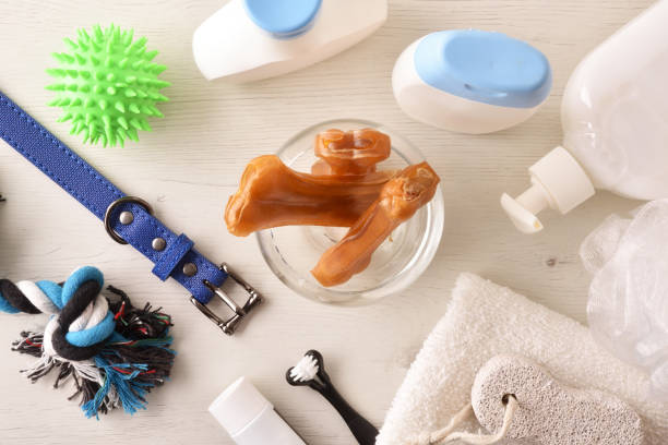 istock Dog bath products on wooden table top view 1341957269
