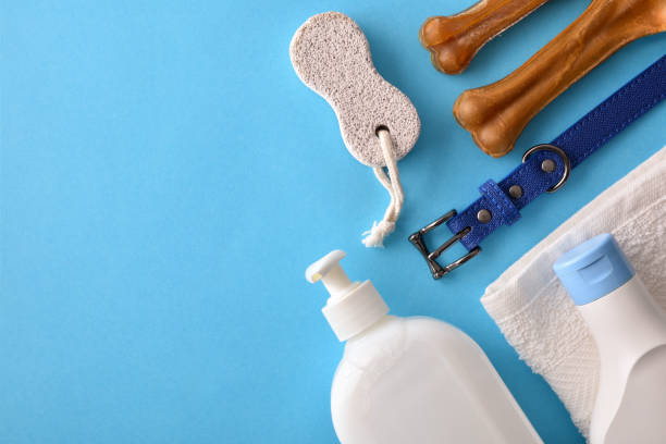 Dog coat care products on blue background top