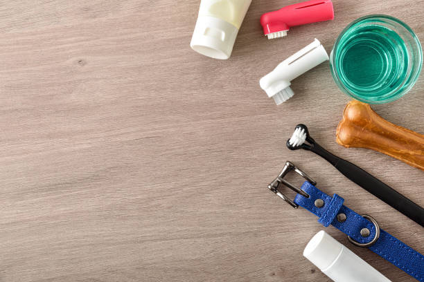 Products for cleaning canine teeth on wooden table top