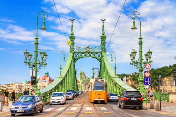 都市景観 - 自由橋の展望車道は、ブ�ダペストのドナウ川を渡ってブダと害虫を結ぶ - buda ストックフォトと画像