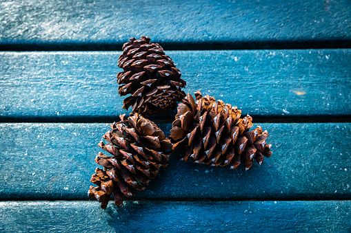Three pinecones with a blue background