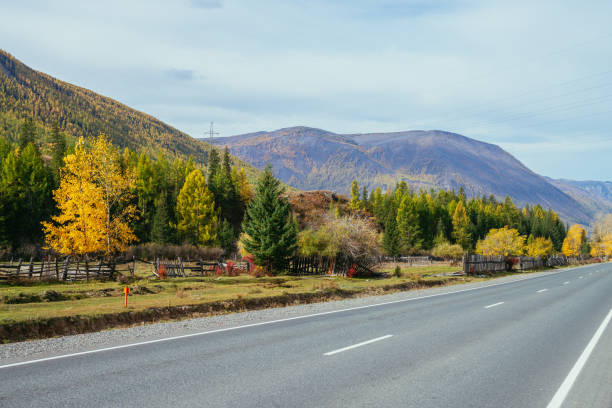 colorful autumn landscape with multicolor trees in sunshine near mountain highway. picturesque alpine scenery with mountain road and motley trees in autumn colors. highway in mountains in fall time. - footpath european alps fence woods imagens e fotografias de stock