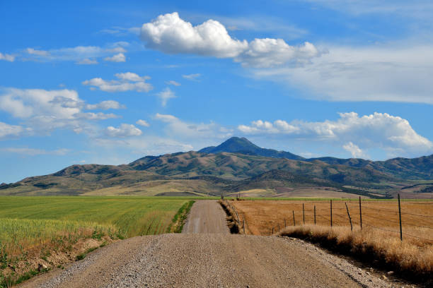 Afternoon summer colors along the back roads below Oxford Peak in Southeast Idaho.