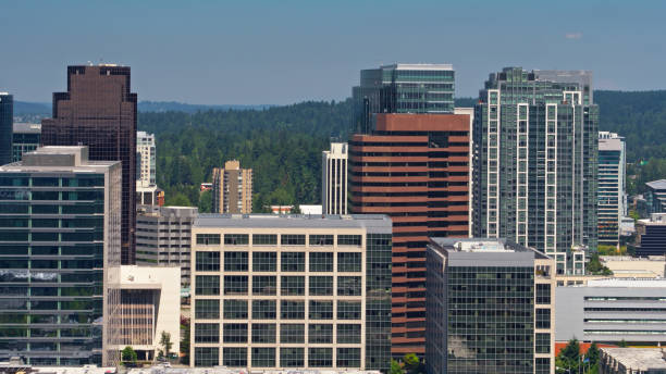 istock Drone Shot Along 108th Avenue in Bellevue, Washington 1341966293
