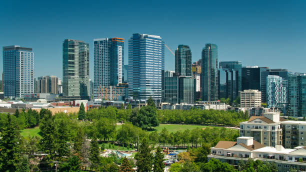 istock Drone Shot of Bellevue, Washington 1341966296