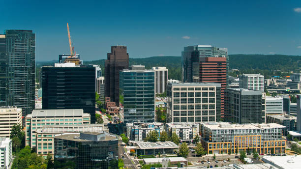 istock Aerial View of Downtown Bellevue, WA 1341966326