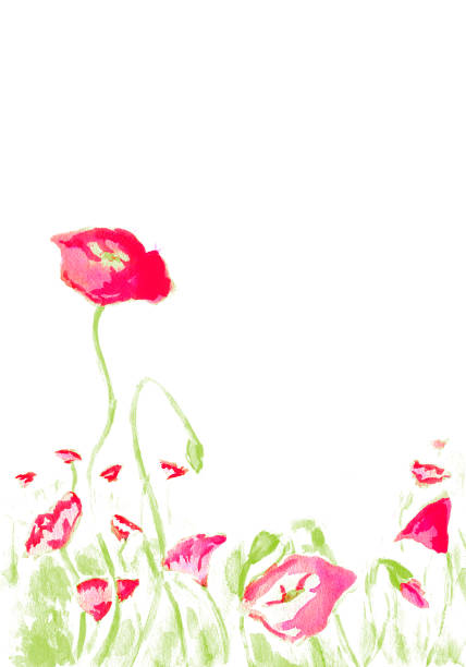 Remembrance Day poppies watercolour border Watercolour painting of poppies for Remembrance Day to use a a border for an invite or poster to remember those who died in World War 1. remembrance day background stock illustrations