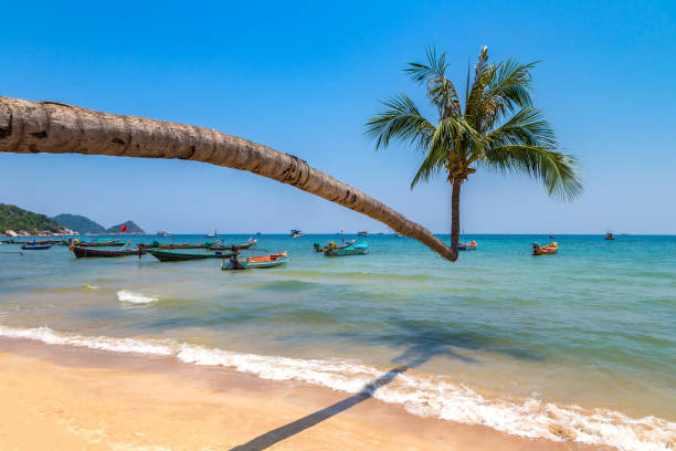 playa sairee en la isla de koh tao - thailand beach koh tao nautical vessel fotografías e imágenes de stock