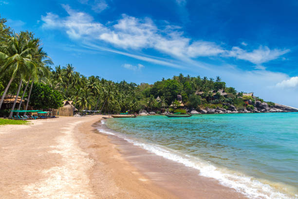 istock Sairee Beach at Koh Tao island 1341968240