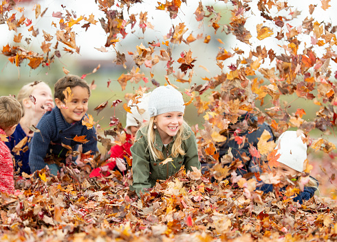 A group of multiethnic school aged children are scooping the leaves up in their arms and throwing them in the air.  They are each dressed casually in warm fall attire and laughing as the colorful leaves fall to the ground overhead.