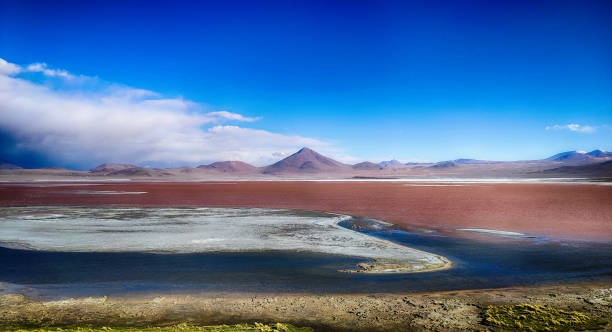 laguna colorada, rote lagune auf dem altiplano, idyllische altiplano atacama wüste, vulkanlandschaft panorama potosi region, bolivianische anden in bolivien - laguna colorada stock-fotos und bilder