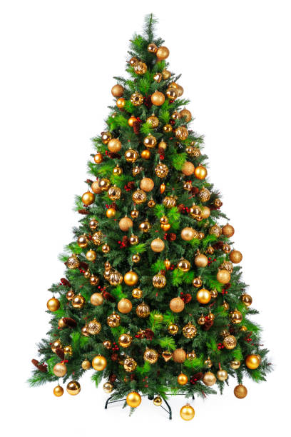 hermoso árbol de navidad aislado sobre fondo blanco - árbol de navidad fotografías e imágenes de stock
