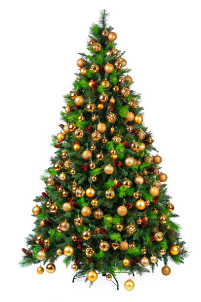 Beautiful christmas tree isolated on white background Beautiful christmas tree isolated on white background christmas tree stock pictures, royalty-free photos & images