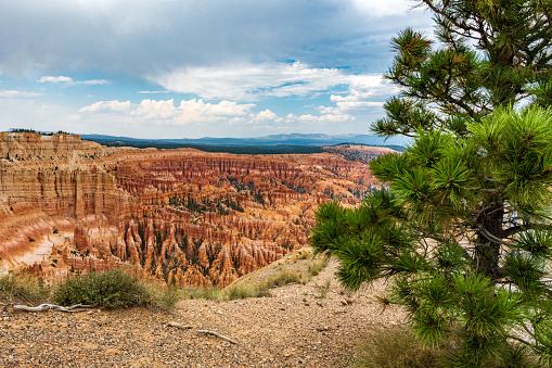 Hoo Doo's as far as the eye can see from Bryce Point in Bryce Canyon National Park