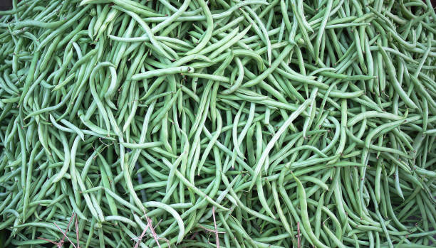 istock pile up stack lots of green beans for background wallpaper 1341980451