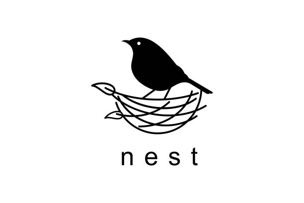 illustrazioni stock, clip art, cartoni animati e icone di tendenza di modello vettoriale di simbolo di design nest bird - nido di animale