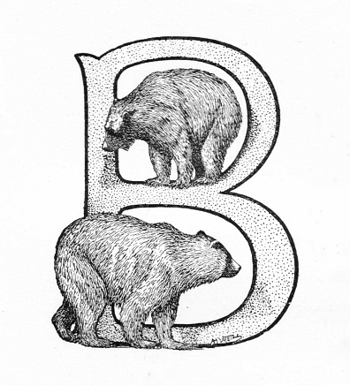 Capital letter B for bears on white background. Illustration by a famous Naturalist artist, Ernest Seton Thompson, published 1898 book about animals in North America. Source: Original edition is from my own archives. Copyright has expired and is in Public Domain.