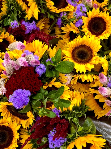Farm-fresh bouquets of sunflowers mixed with red, pink, and purple flowers at a farmer’s market in Hoboken, New Jersey.