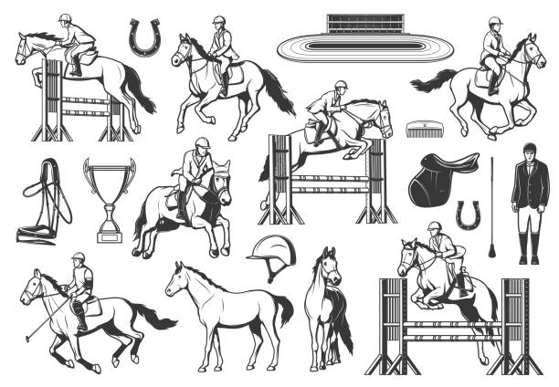 illustrazioni stock, clip art, cartoni animati e icone di tendenza di sport equestri, corse di cavalli e vettori di salto - cavallo equino