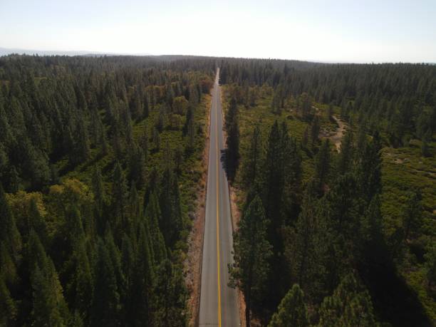 c’est un long chemin vers le bas - mountain nature abstract forest swamp photos et images de collection