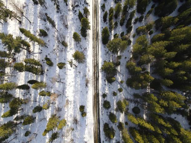 longue route de glace - mountain nature abstract forest swamp photos et images de collection