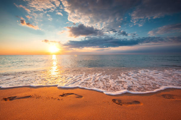 istock Footsteps on the beach sand,  sunrise shot. 1341994845