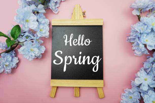 istock Hello Spring text on wooden blackboard and flower decoration on pink background 1341995576