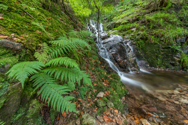 istock Waterfall in the mountain in early fall. 1341995665