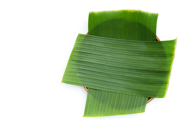 istock Banana leaves in bamboo basket on white background. 1341999684