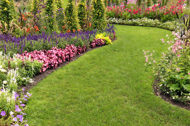 istock Flower garden in summer 1342001369